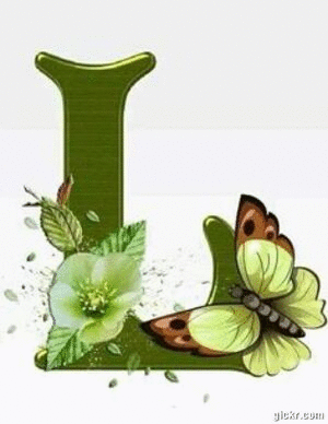 Animated GIF made with Gickr