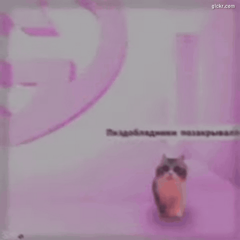 Animated GIF made with Gickr