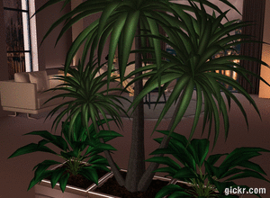 Animated GIF made with Gickr