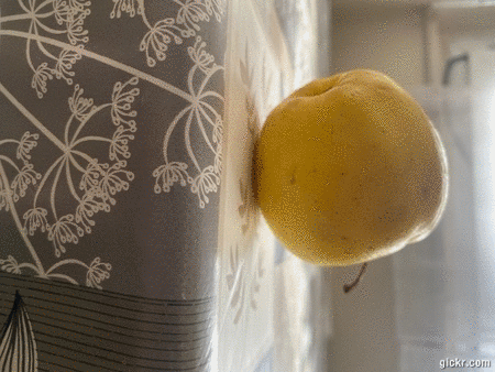 Animated GIF made with Gickr