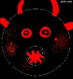 Animated GIF made with Gickr