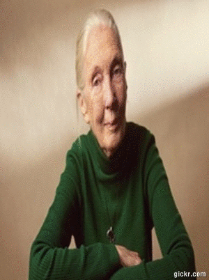Animated GIF made with Gickr