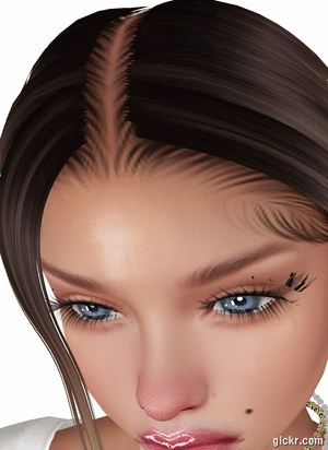 Animated GIF made with Gickr