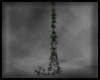 Animated GIF made with Gickr