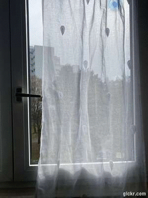 Animated GIF made with Gickr
