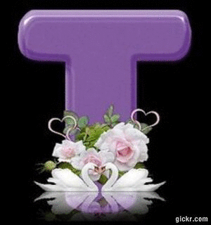 Animated GIF made with Gickr