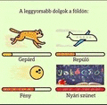 Animated GIF made with Gickr