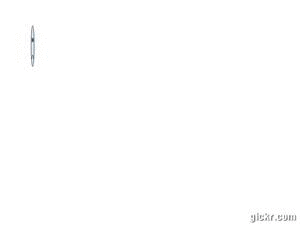 Animated GIF made with Gickr