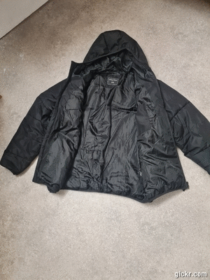 Animated GIF made with Gickr