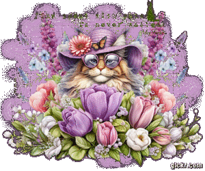 Animated GIF made with Gickr