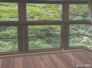 Animated GIF made with Gickr