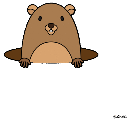 Animated GIF made with Gickr