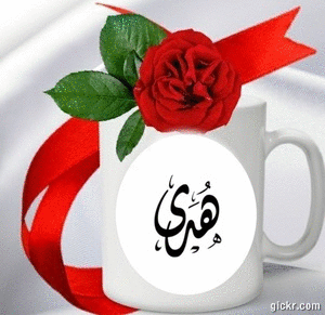 Animated GIF made with Gickr