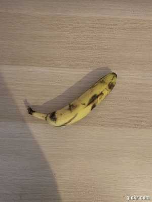 Animated GIF made with Gickr