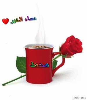 Animated GIF made with Gickr