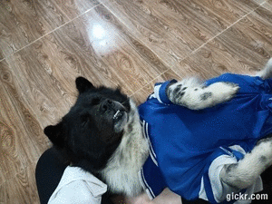 Animated GIF made with Gickr