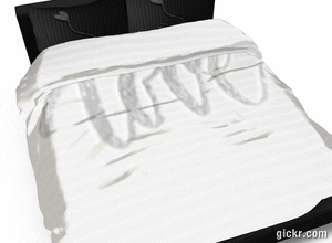 Animated GIF made with Gickr