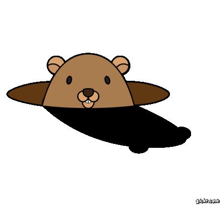 Animated GIF made with Gickr