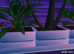 Animated GIF made with Gickr