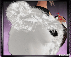 Animated GIF made with Gickr