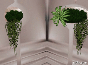 Animated GIF made with Gickr