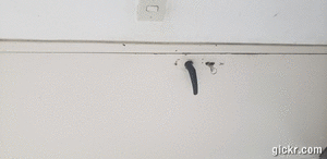 Animated GIF made with Gickr