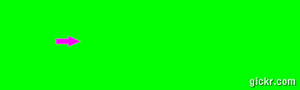 Animated GIF made with Gickr