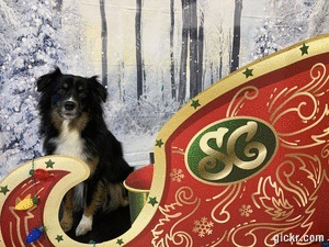 Animated GIF made with Gickr