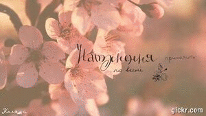 Animated GIF made with Gickr
