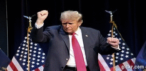 Animated GIF made with Gickr