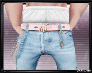 Animated GIF made with Gickr