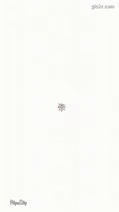 Animated GIF made with Gickr