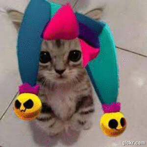 Animated GIF made with Gickr