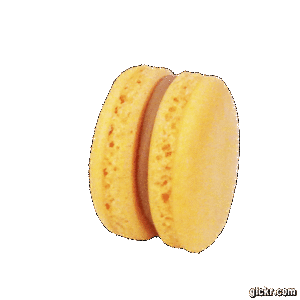 Animated GIF made with Gickr