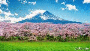 Animated GIF made with Gickr