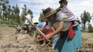 Animated GIF made with Gickr
