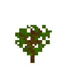Animated GIF made with Gickr