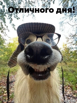 Animated GIF made with Gickr