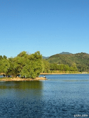 Animated GIF made with Gickr