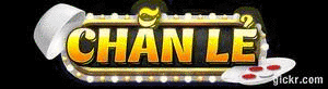 Animated GIF made with Gickr