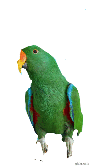 Animated GIF made with Gickr