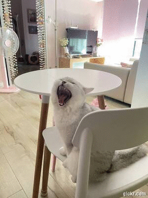 Animated GIF made with Gickr
