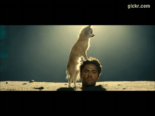 Animated GIF made with Gickr