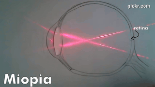 Animated GIF made with Gickr