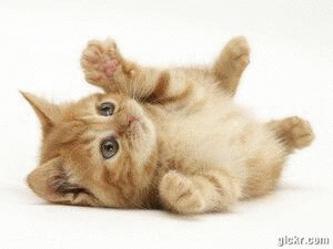 Animated GIF made with Gickr