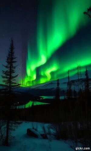 Animated GIF made with Gickr
