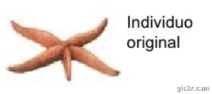 Animated GIF made with Gickr