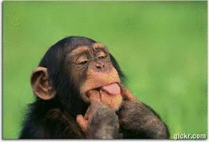 Animated GIF made with Gickr