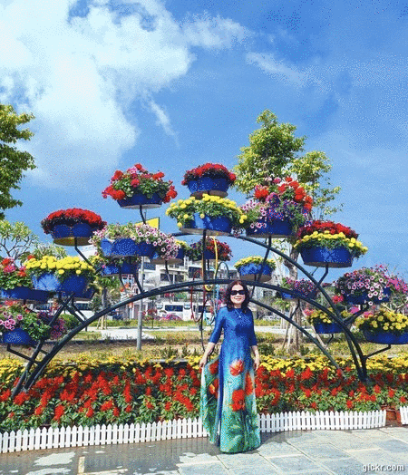 Animated GIF made with Gickr