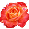 Animated GIF made with Gickr